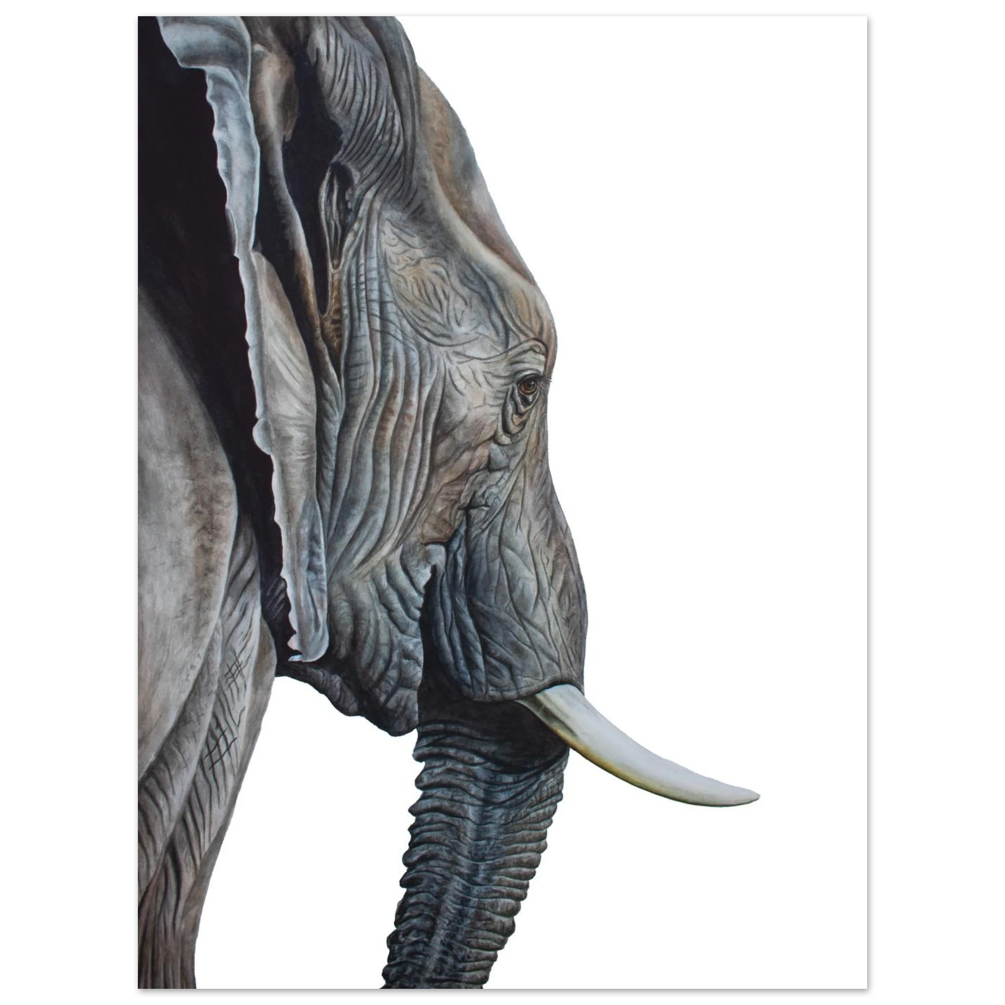 105ddab3-a0c4-4cb6-9904-24a97d122682