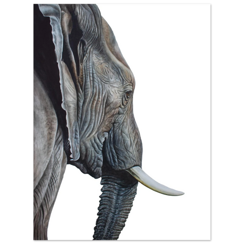 105ddab3-a0c4-4cb6-9904-24a97d122682