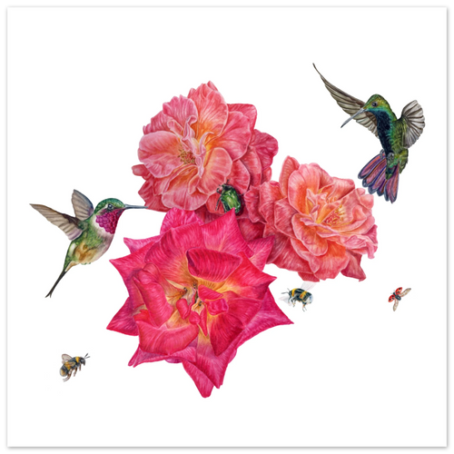 28fcb674-c80a-4114-9954-eaadd90e7fbb ose botanical illustration
hummingbird artwork
colored pencil botanical art
wildlife botanical illustration
hand drawn roses
hummingbird and flowers art
bee illustration
botanical wildlife print
realistic floral artwork
garden pollinators art
rose flower illustration
nature inspired wall art
botanical home décor
fine art colored pencil drawing
botanical and wildlife art
English garden illustration
pollinator artwork
ladybird illustration
rose chafer beetle
floral wildlif
