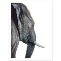53aa9099-ceac-4f51-a3e2-f4f1e4c1d8efwatercolor elephant, elephant art print, wildlife watercolor, animal wall art, nursery decor, living room art, printable art, gallery print, realistic animal painting