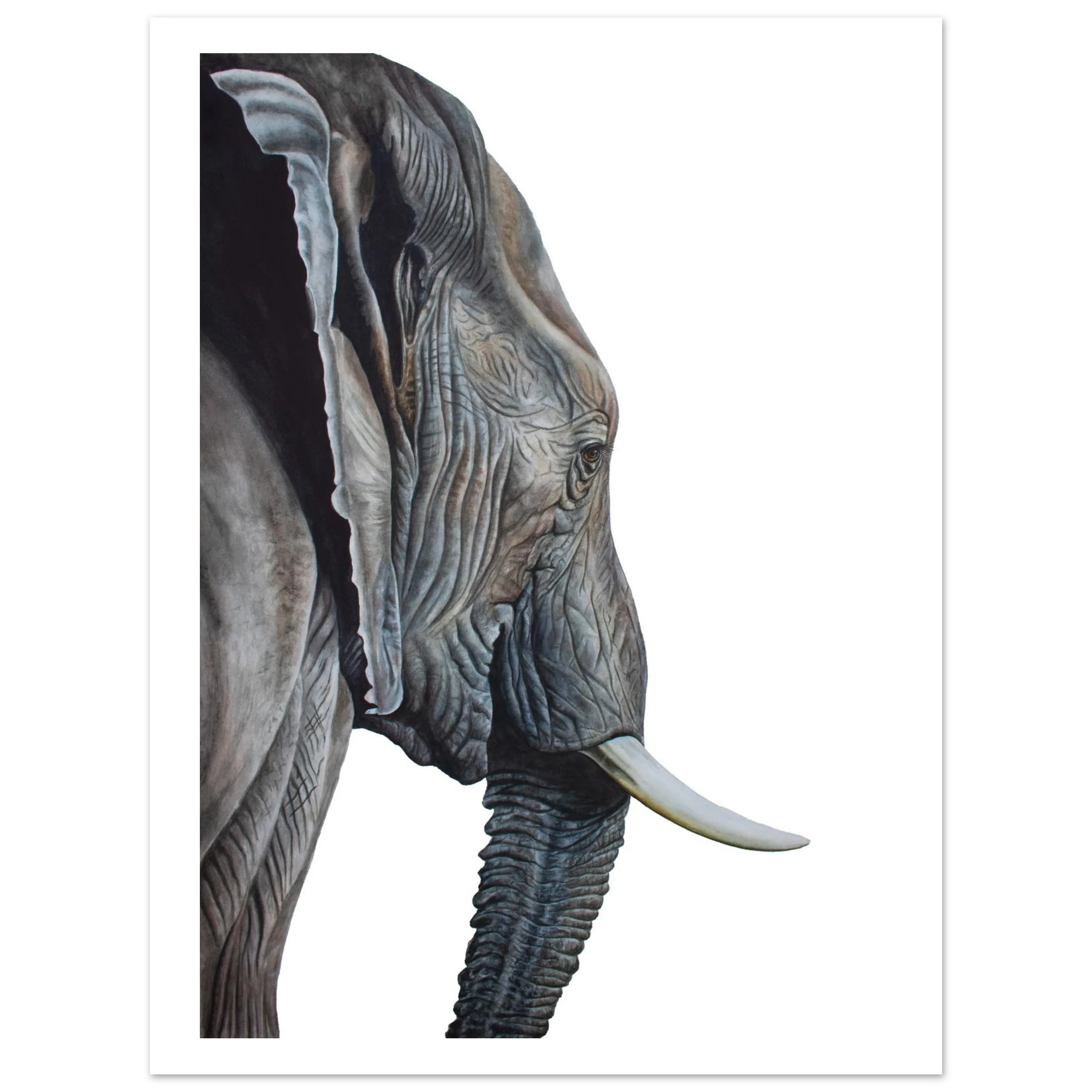 53aa9099-ceac-4f51-a3e2-f4f1e4c1d8efwatercolor elephant, elephant art print, wildlife watercolor, animal wall art, nursery decor, living room art, printable art, gallery print, realistic animal painting