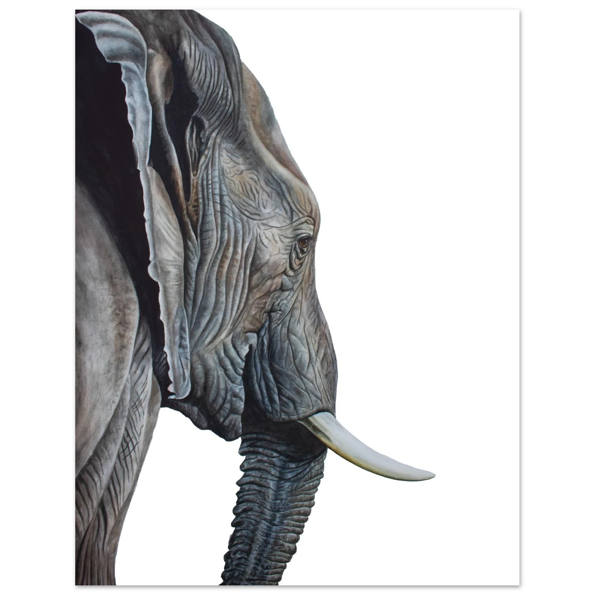 7b6ccf3c-bed6-4445-93c8-add4f41725a2