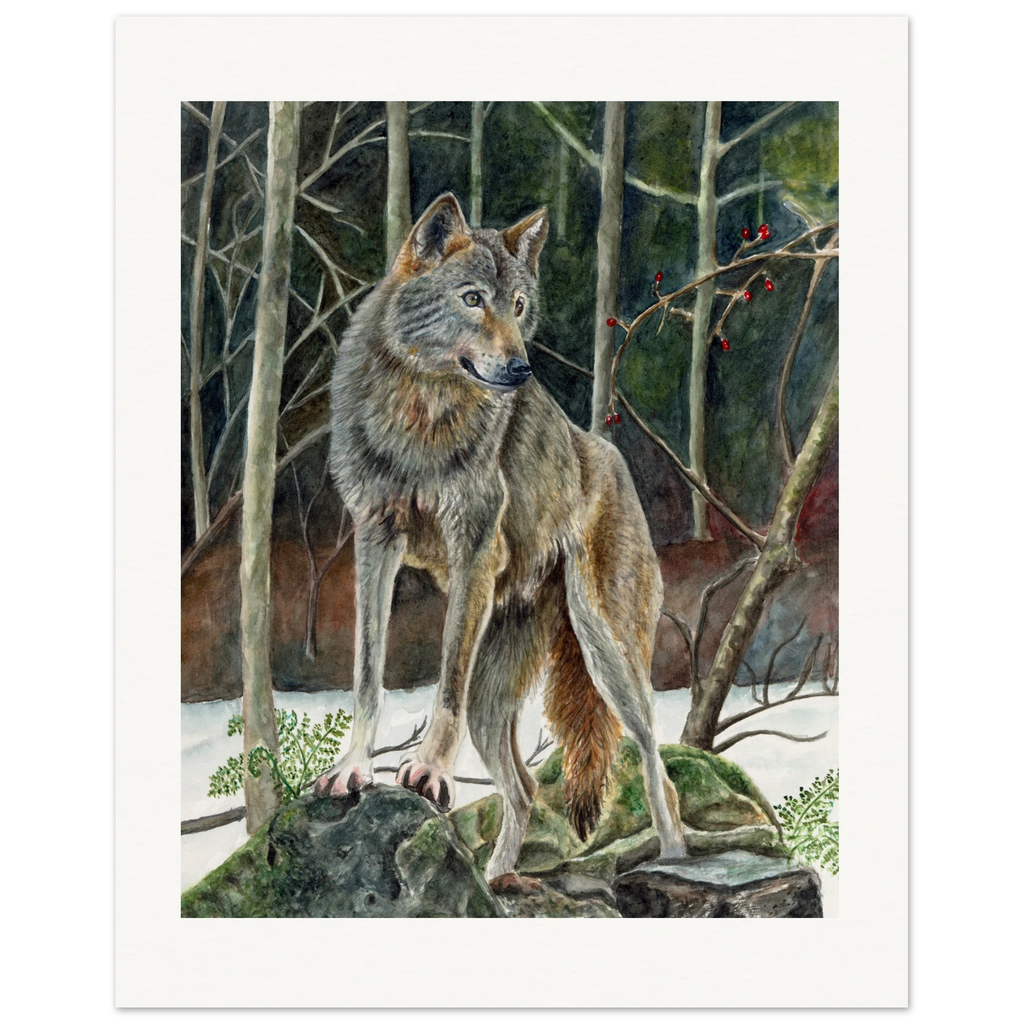 7e30380e-4d75-43cf-a458-fd84a94c8eac
wolf art print
wolf watercolor painting
wildlife wall art
gray wolf artwork
woodland animal art
forest wolf painting
nature art print
rustic cabin decor
wilderness wall decor
wildlife watercolor
wolf home decor
woodland decor
winter forest art
snowy forest wolf
animal lover gift
wolf illustration
realistic wolf painting
fine art wildlife print
forest animal wall art
rustic lodge decor
cabin wall art
Nordic woodland decor
mountain cabin artwork
woodland nursery decor
wild