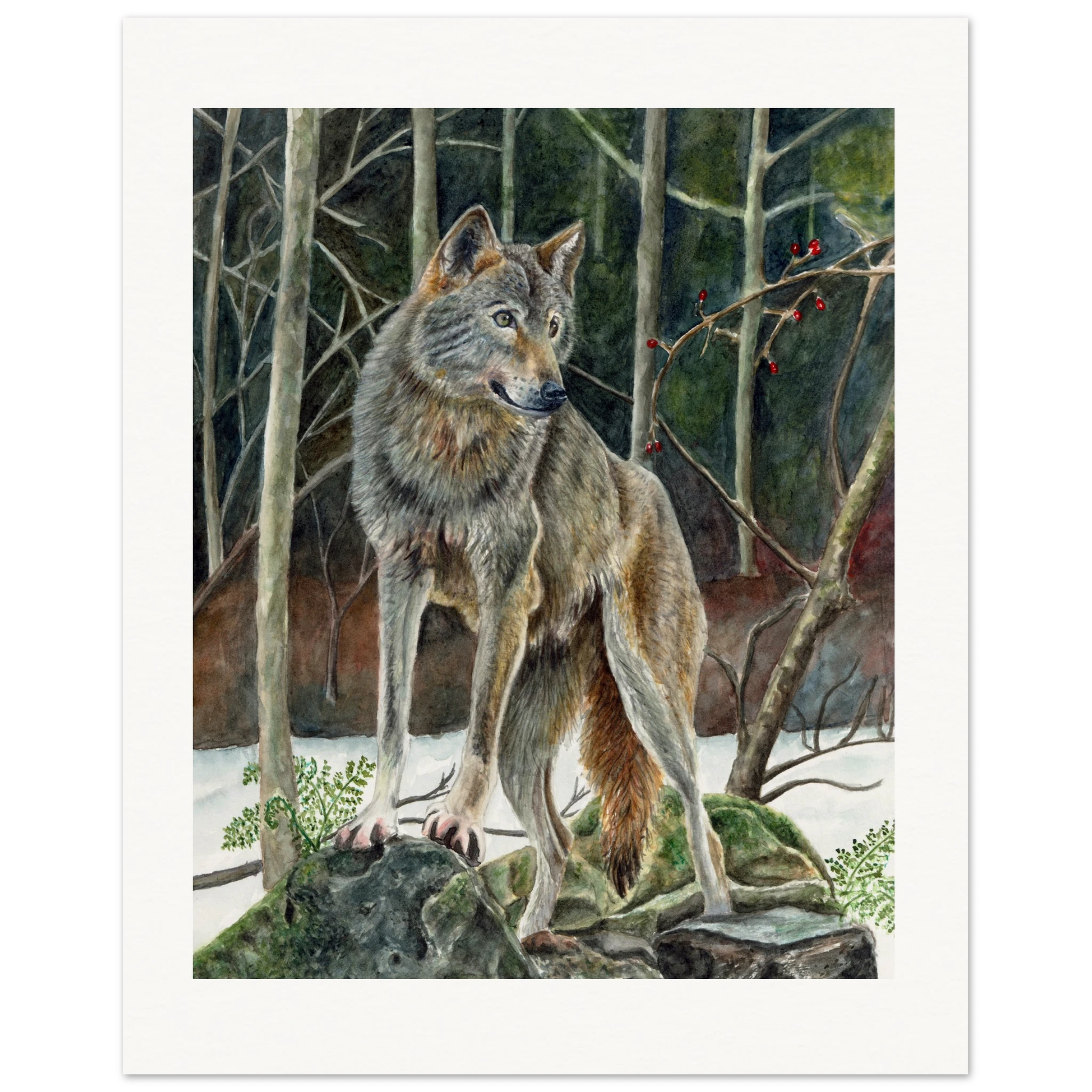 7e30380e-4d75-43cf-a458-fd84a94c8eac
wolf art print
wolf watercolor painting
wildlife wall art
gray wolf artwork
woodland animal art
forest wolf painting
nature art print
rustic cabin decor
wilderness wall decor
wildlife watercolor
wolf home decor
woodland decor
winter forest art
snowy forest wolf
animal lover gift
wolf illustration
realistic wolf painting
fine art wildlife print
forest animal wall art
rustic lodge decor
cabin wall art
Nordic woodland decor
mountain cabin artwork
woodland nursery decor
wild