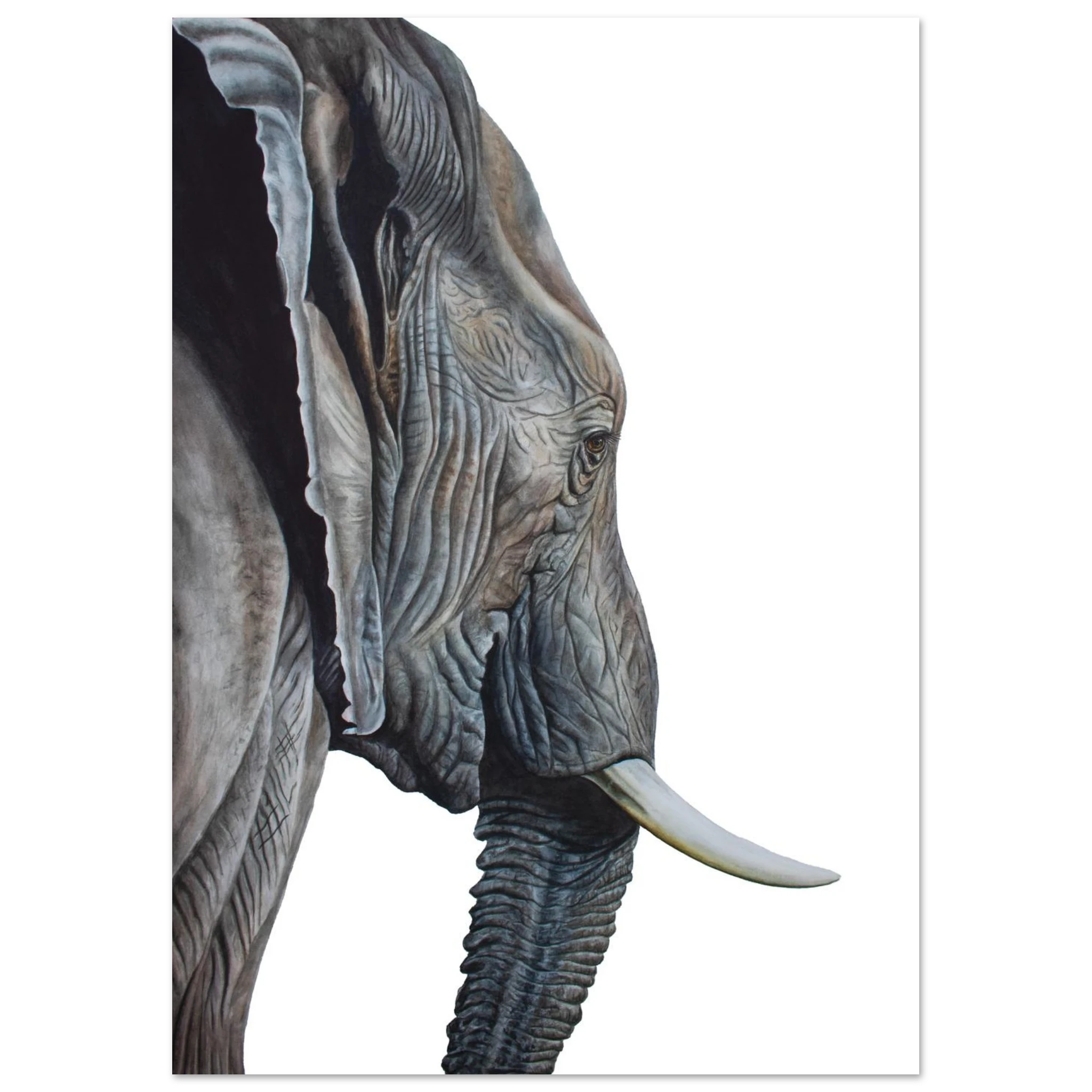 8daebf08-57da-4940-ae60-61a70698915c